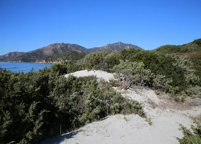 Two-room In A Complex דירה וילסימיוס